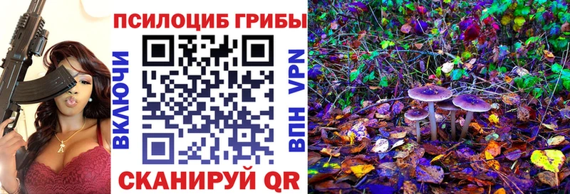 Псилоцибиновые грибы Magic Shrooms  Купить закладки  Сунжа 